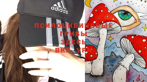 метадон Алексеевка