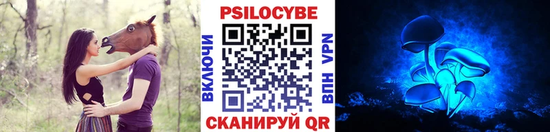 дарк нет клад  Родники  Псилоцибиновые грибы MAGIC MUSHROOMS 